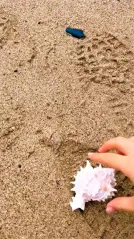 Cover for You on Disney Little Mermaid Experience with 20% OFF