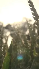 Cover for Sostenibilità ed economia circolare