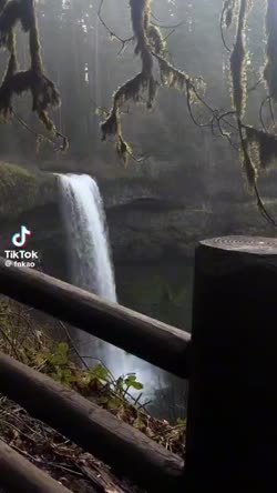 Cover for Influencer short