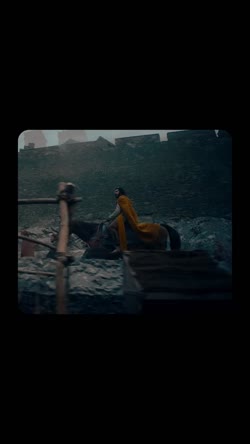 Cover for Teste 1103